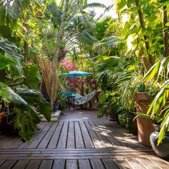 Pineapple Point Guest House & Resort Gallery