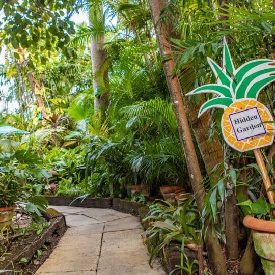 Pineapple Point Guest House & Resort Gallery